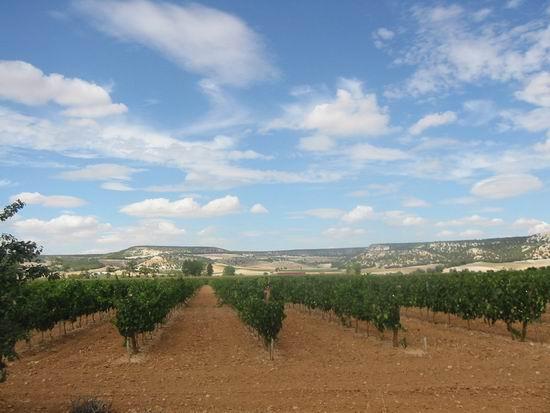 Ruta de la Ribera del Duero